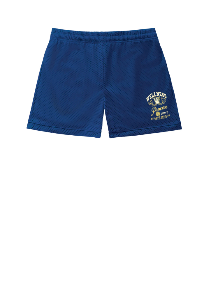 Wellness Mesh Shorts Navy