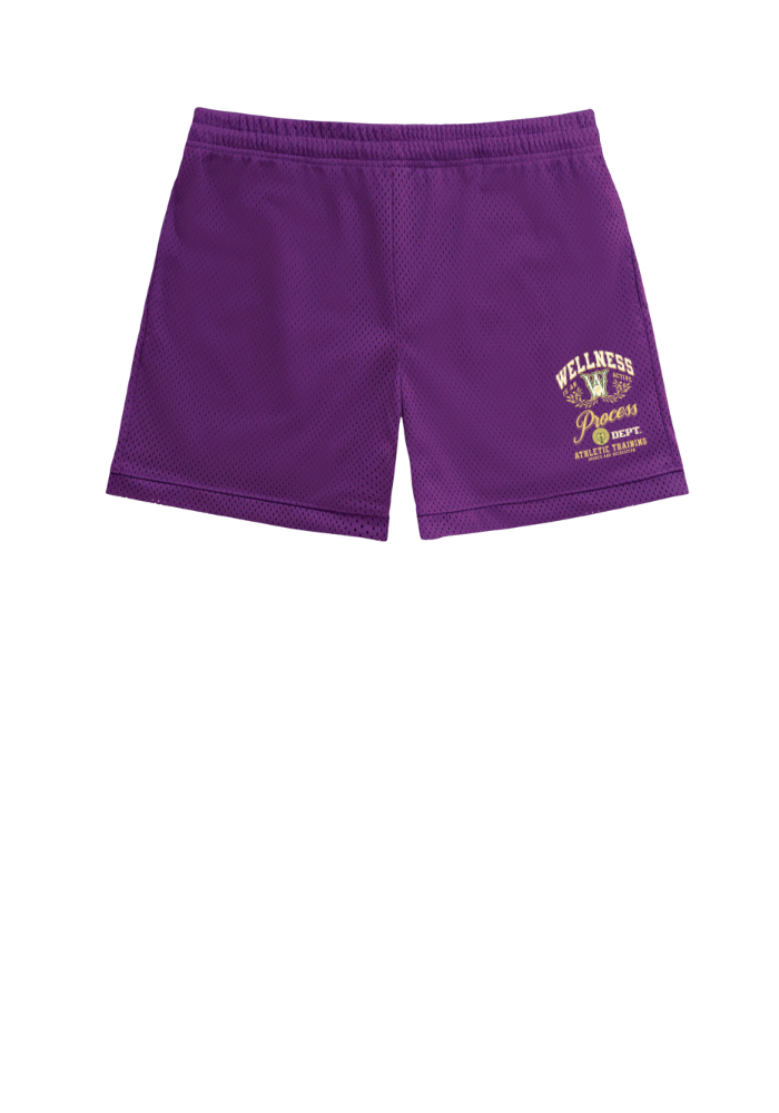 Wellness Mesh Shorts Purple