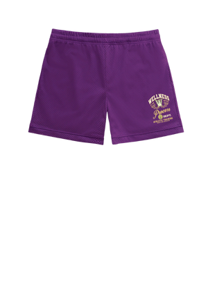 Wellness Mesh Shorts Purple