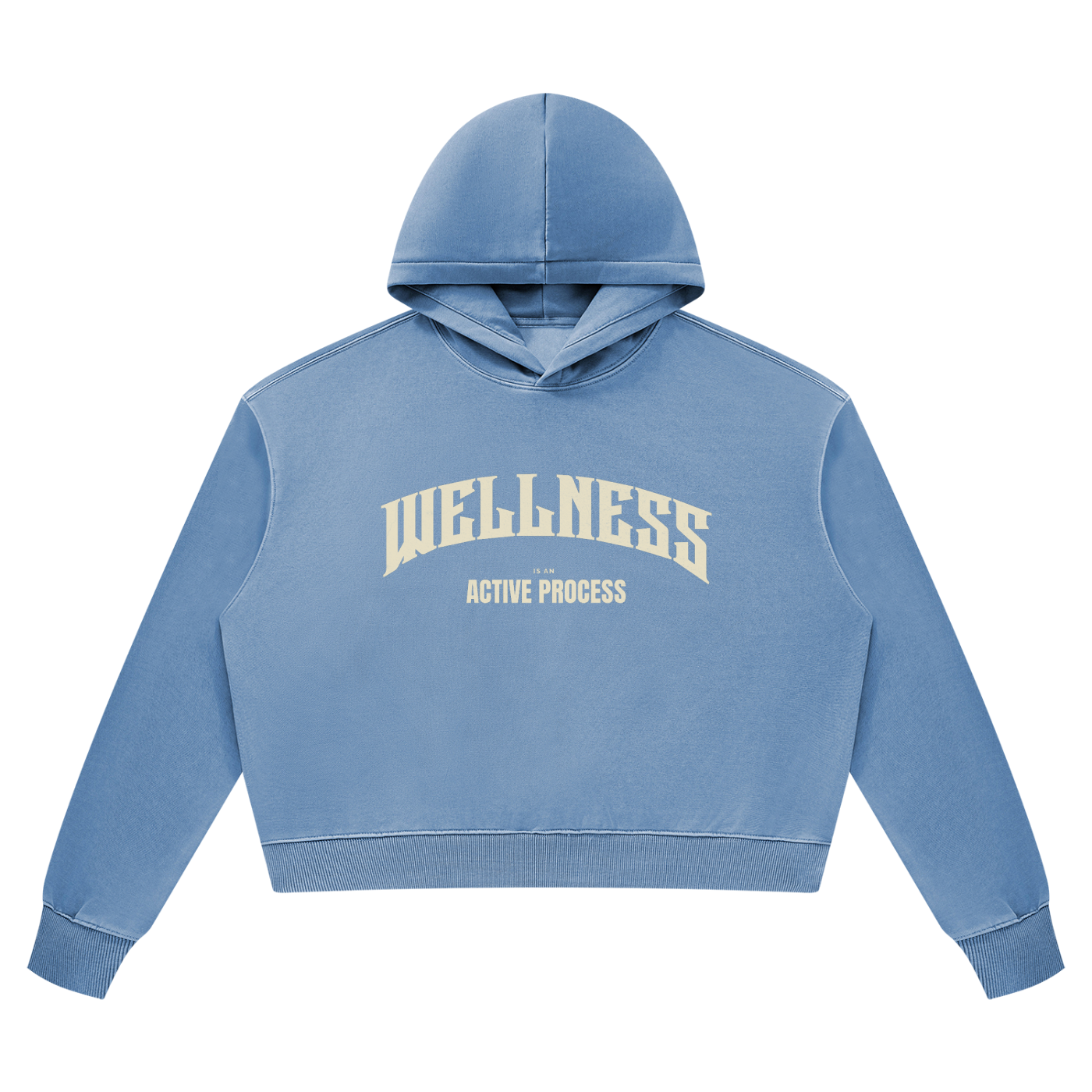 Wellness Women’s Vintage Hoodie