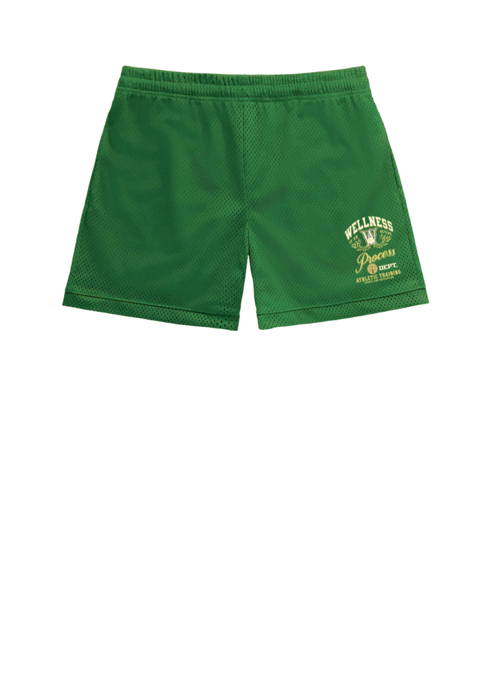 Wellness Mesh Shorts Green