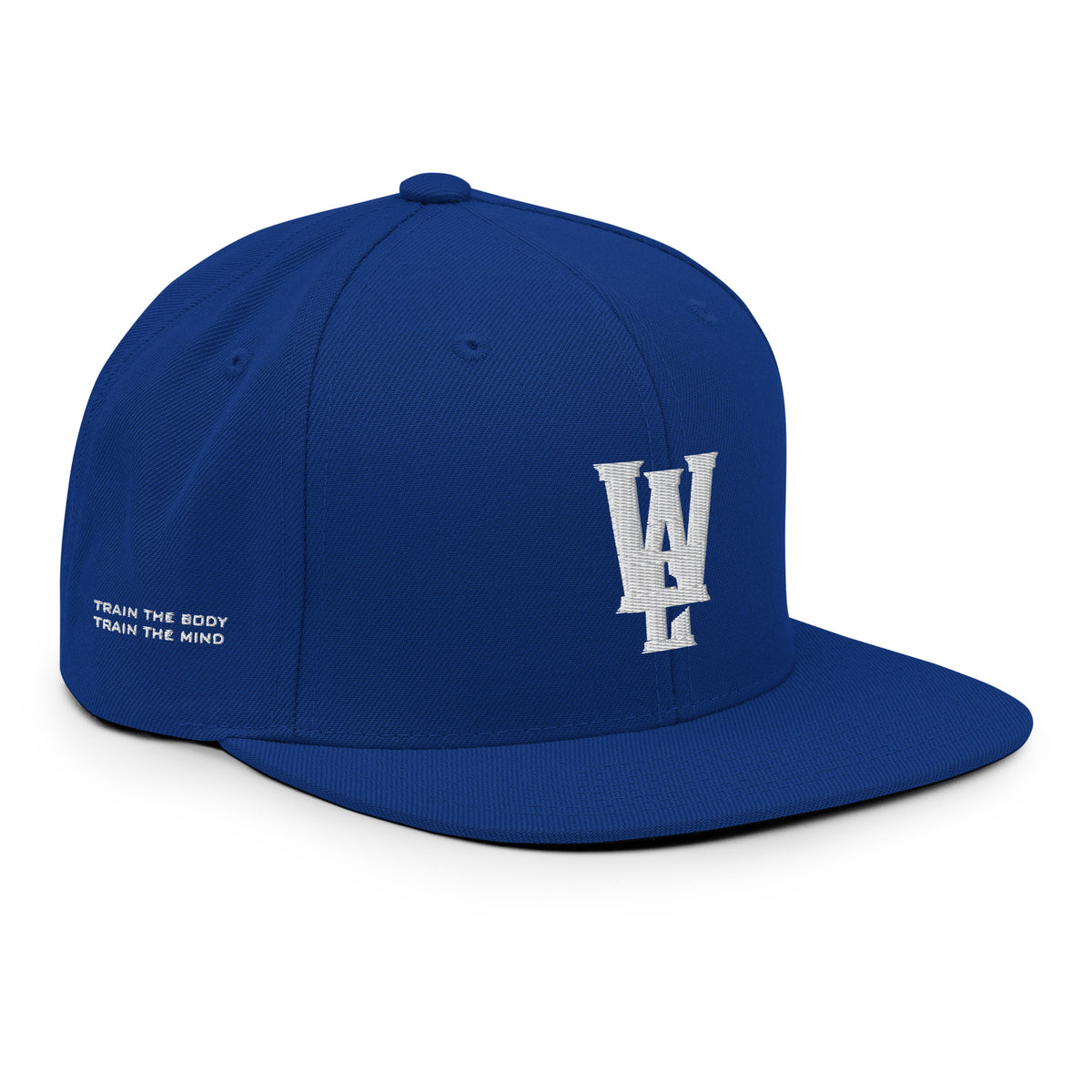 Wellness Training Snapback Hat